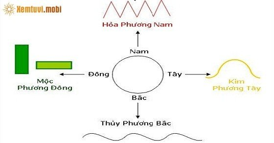 Phong thủy phòng bếp cho người mệnh Mộc Phong thủy phòng bếp cho người mệnh Mộc